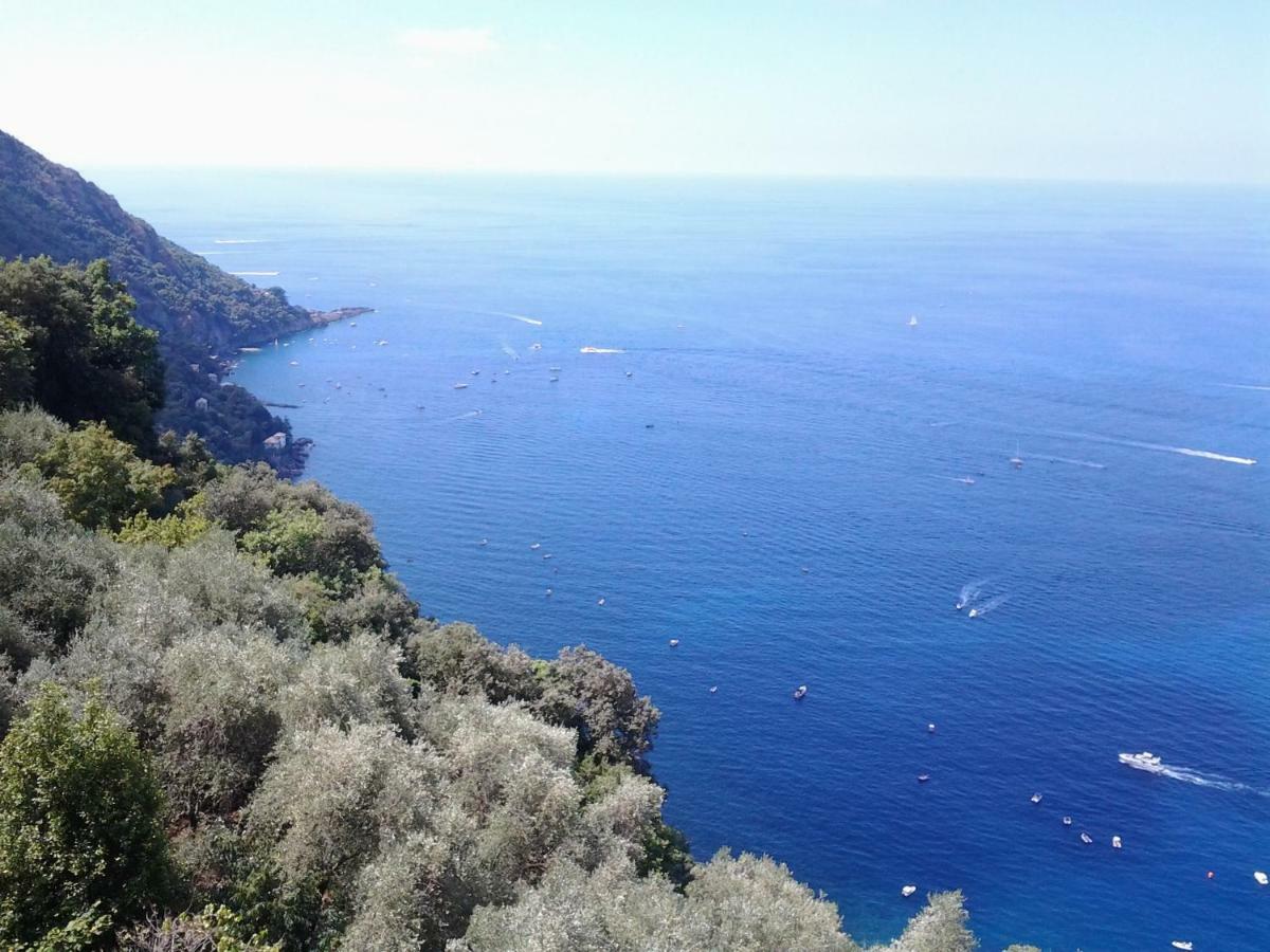 Casa Constanza Pace E Relax In Liguria Apartman Camogli Kültér fotó